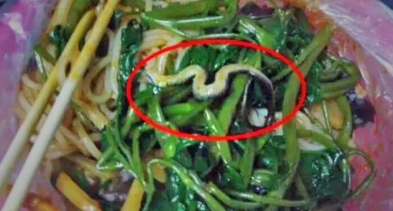 Leraning mushuki bor