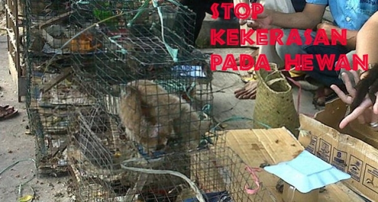 Polisi Limpahkan Berkas Pelaku Pengawetan Kulit Hewan Langka